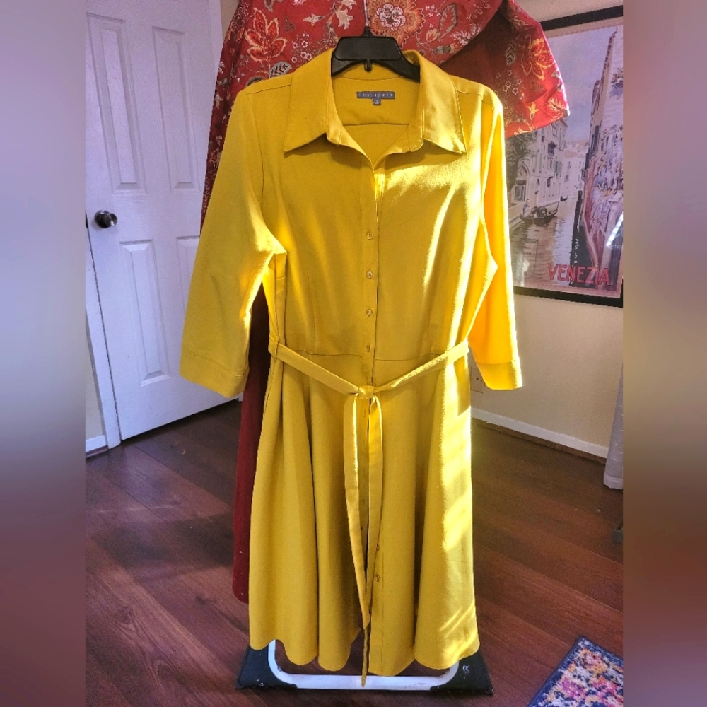 Ladies lemon yellow dress